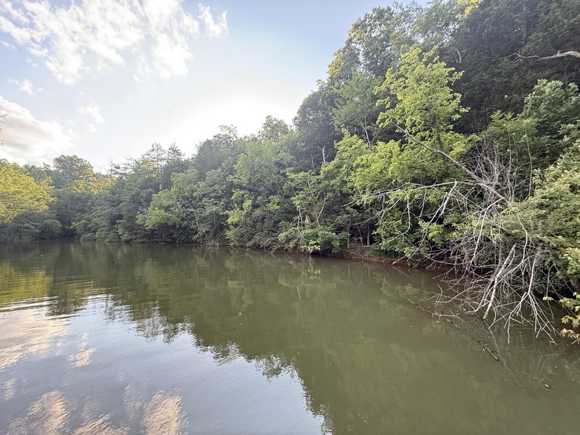 Lot 175 - Discover your dream property in the prestigious - photo 30