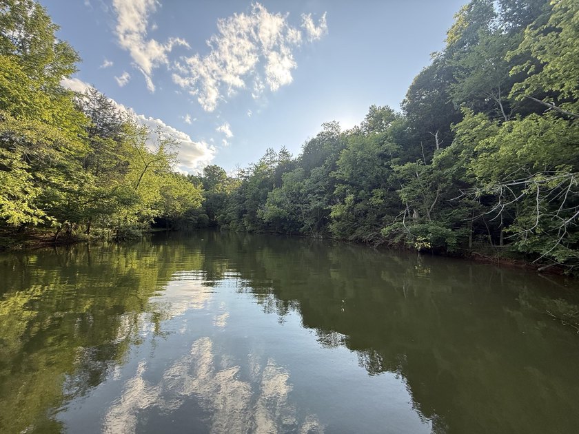 Lot 175 - Discover your dream property in the prestigious - photo 31