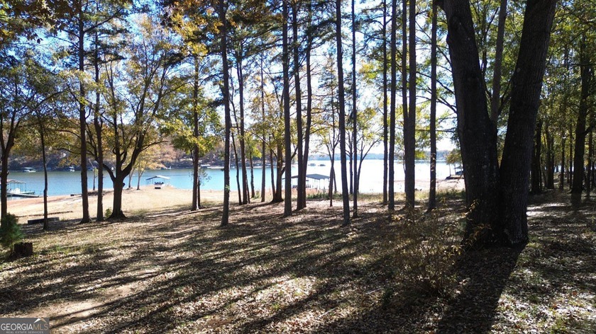 This Lake Hartwell home is just 10 minutes from I-85 with easy - photo 5
