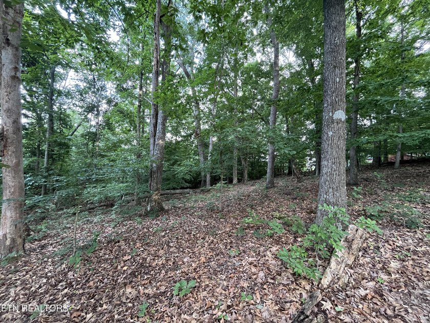Escape to East Tennessee: Stunning Mountain-View Lot Ready for - photo 3