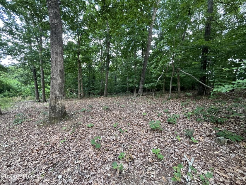 Escape to East Tennessee: Stunning Mountain-View Lot Ready for - photo 4