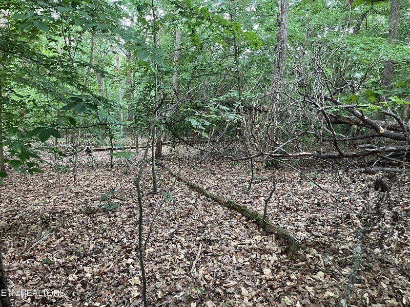 Escape to East Tennessee: Stunning Mountain-View Lot Ready for - photo 6
