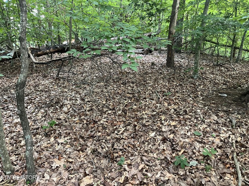 Escape to East Tennessee: Stunning Mountain-View Lot Ready for - photo 7