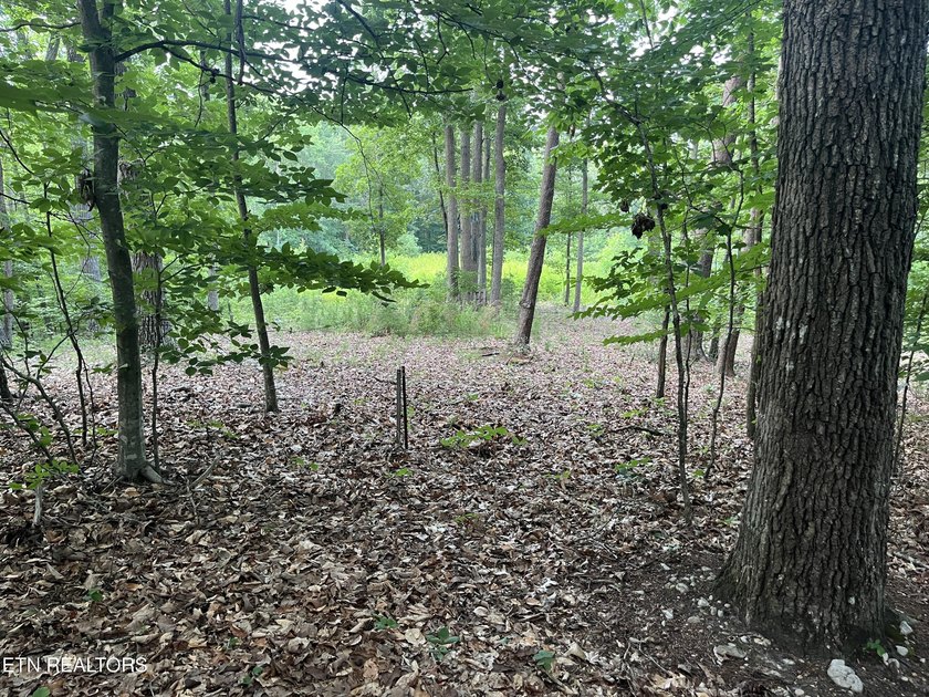 Escape to East Tennessee: Stunning Mountain-View Lot Ready for - photo 9