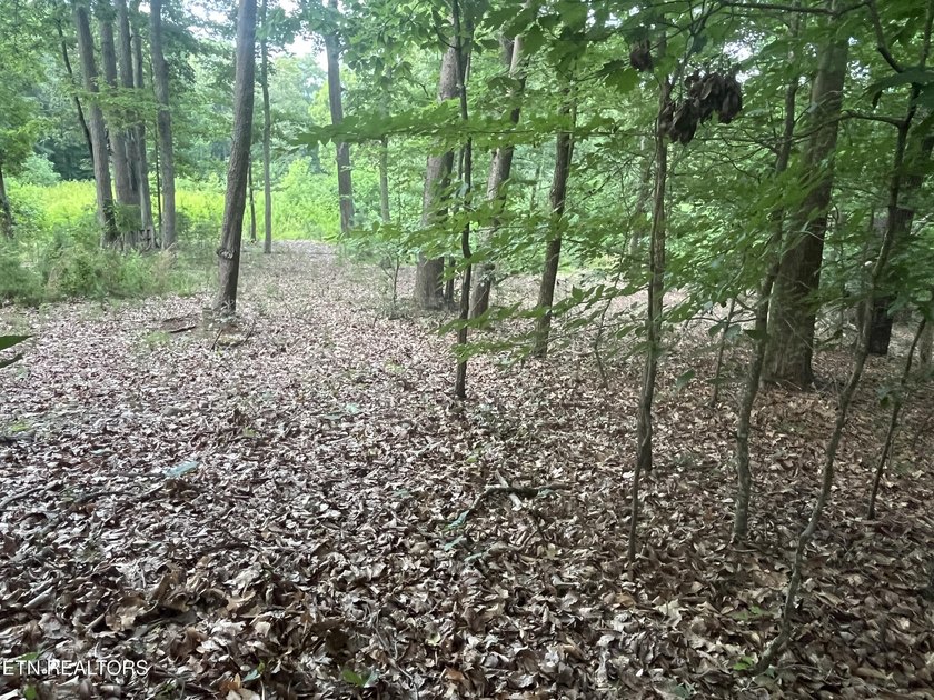 Escape to East Tennessee: Stunning Mountain-View Lot Ready for - photo 10