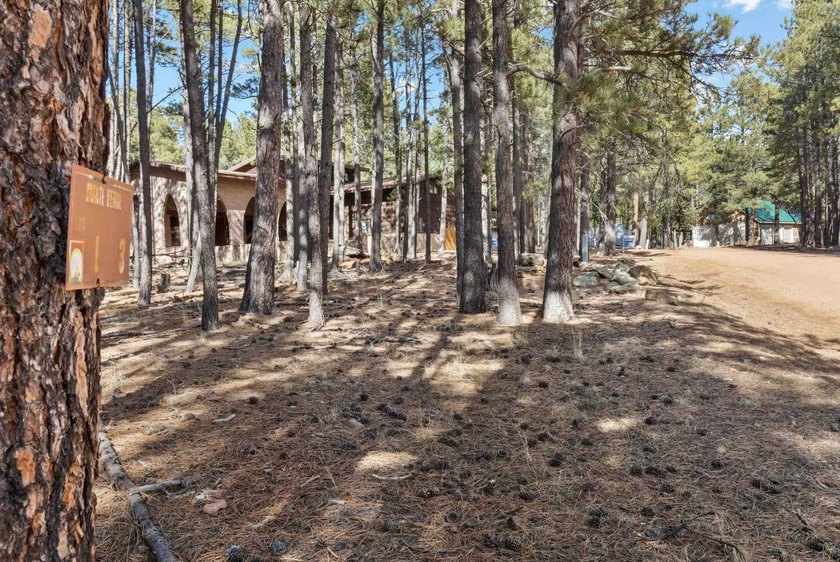 Opportunity knocks with this level, half-acre lot offering the - photo 11