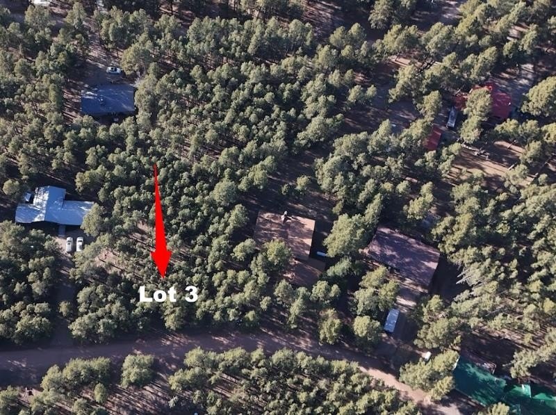 Opportunity knocks with this level, half-acre lot offering the - photo 13