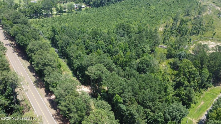 +/- 15 acre homesite or recreational property in Leake County - photo 11