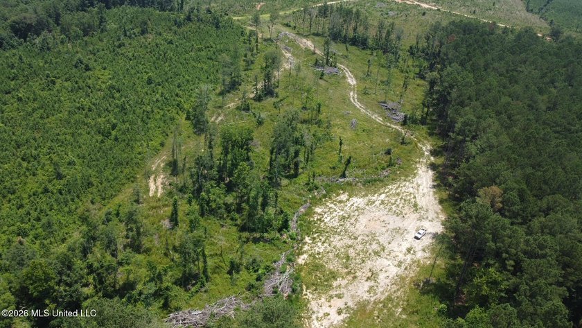 +/- 15 acre homesite or recreational property in Leake County - photo 12