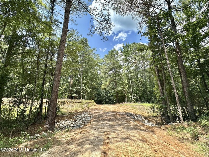 +/- 15 acre homesite or recreational property in Leake County - photo 14