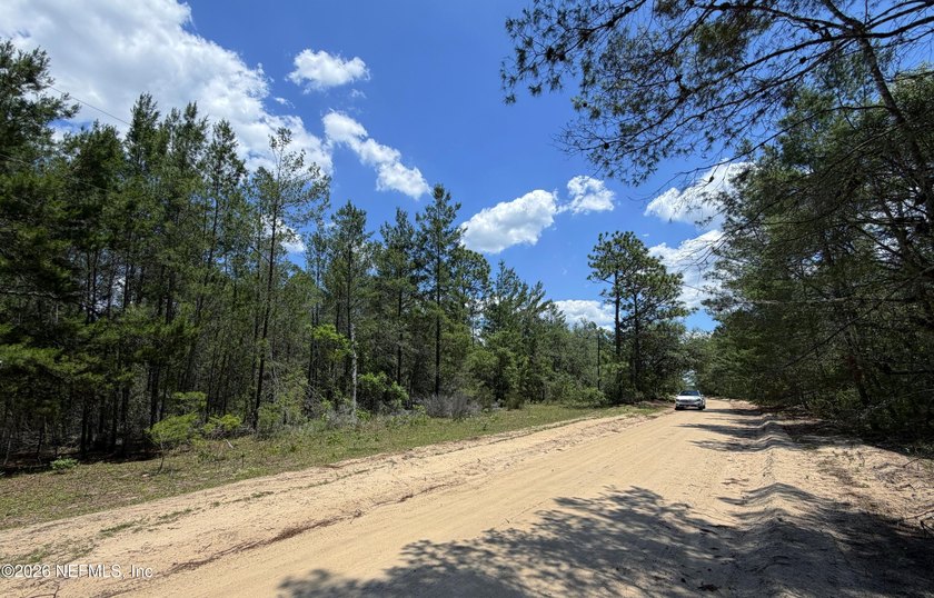 Triple lot in West Putnam County. Easy commute to Gainesville - photo 5