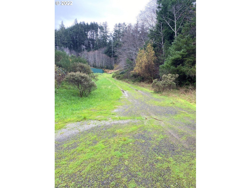 Two prime parcels of land totaling 33.58 acres, offering a - photo 16