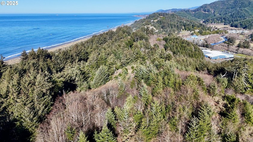 Two prime parcels of land totaling 33.58 acres, offering a - photo 21