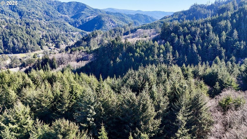 Two prime parcels of land totaling 33.58 acres, offering a - photo 29