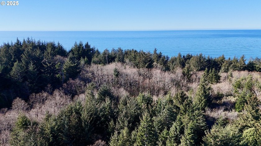 Two prime parcels of land totaling 33.58 acres, offering a - photo 31