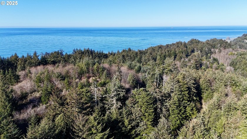 Two prime parcels of land totaling 33.58 acres, offering a - photo 32