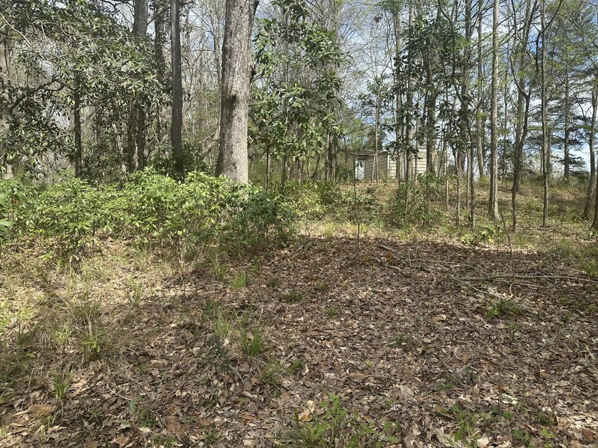 Roughly 400 ft of river frontage on the Bouie River. This - photo 3