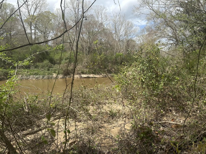 Roughly 400 ft of river frontage on the Bouie River. This - photo 5