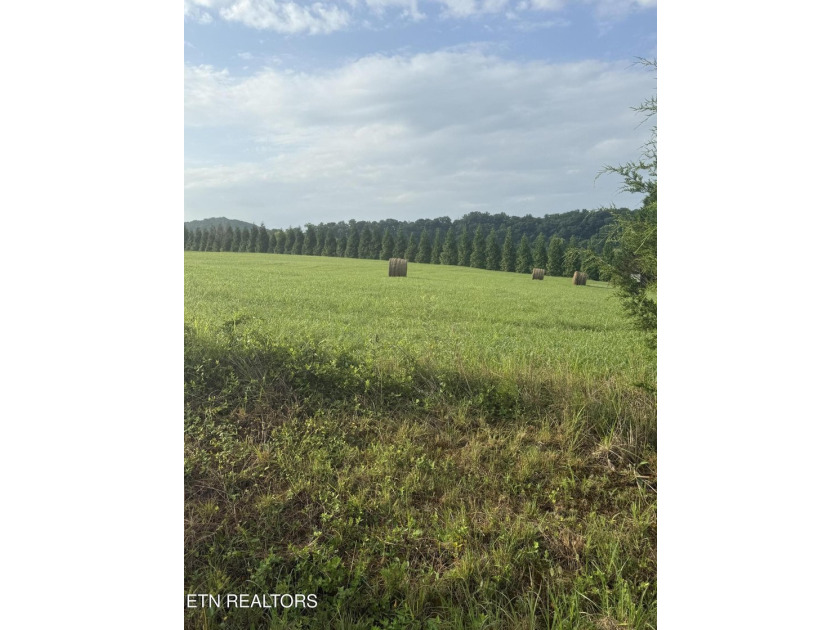 Spacious 1.18 Acre flat lot located on a quiet cul-de-sac - photo 3