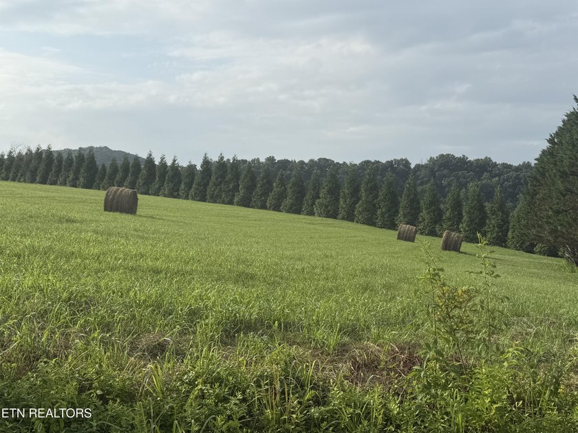 Spacious 1.18 Acre flat lot located on a quiet cul-de-sac - photo 4