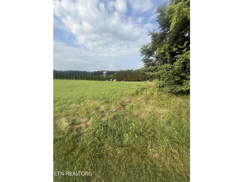 Spacious 1.18 Acre flat lot located on a quiet cul-de-sac - photo 5