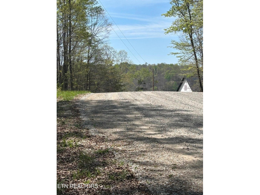 Want a large acreage tract with lake frontage? This lot is for - photo 4