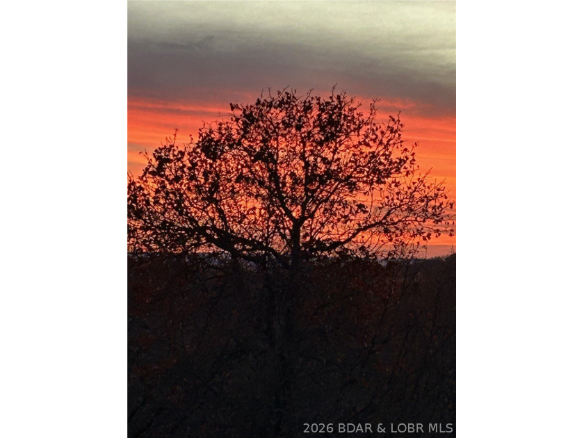 $20,000 Price Adjustment! 10.1 Acres close to town! Beautiful - photo 39