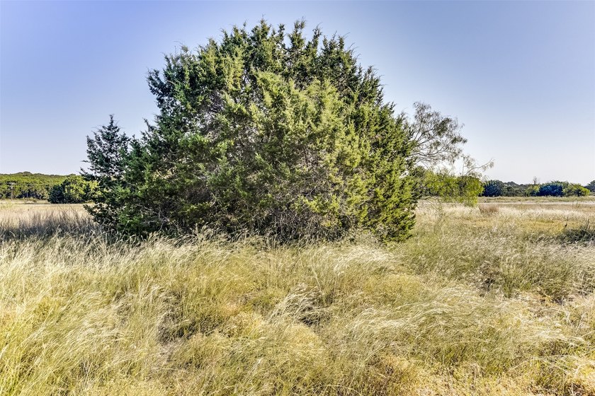 Nestled within the serene and exclusive White Bluff Resort, this - photo 14