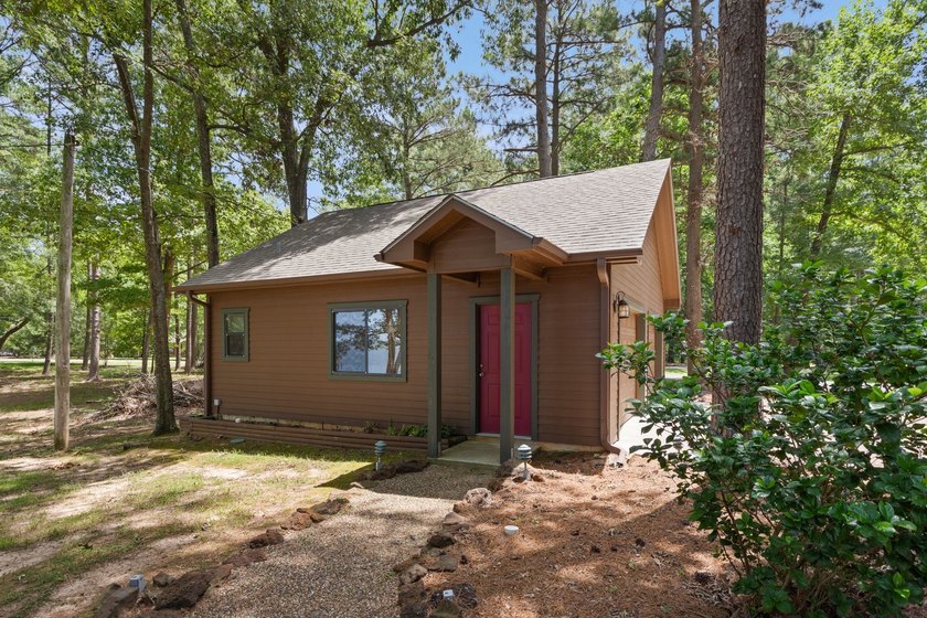 A truly once-in-a-lifetime opportunity awaits on Lake Cypress - photo 22