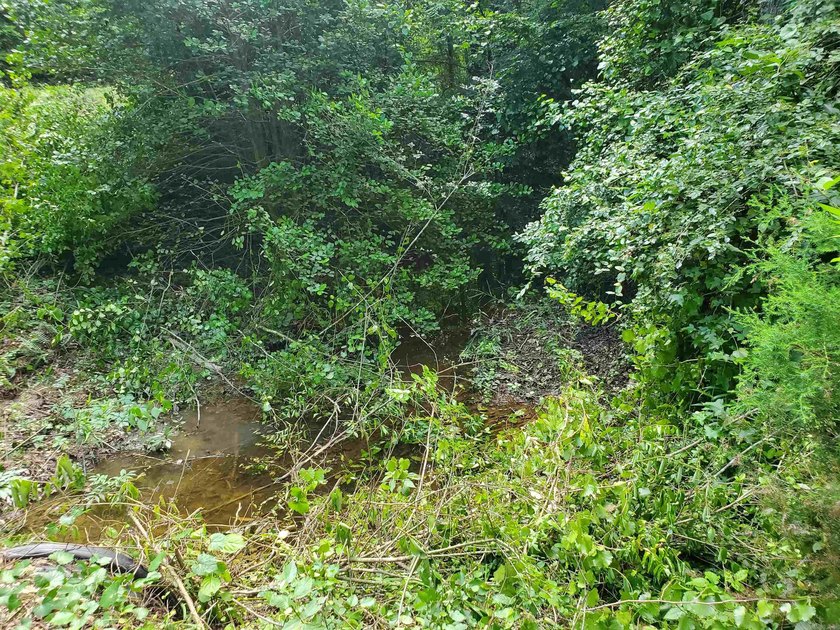 Approximately 64 wooded acres with county road frontage - photo 13