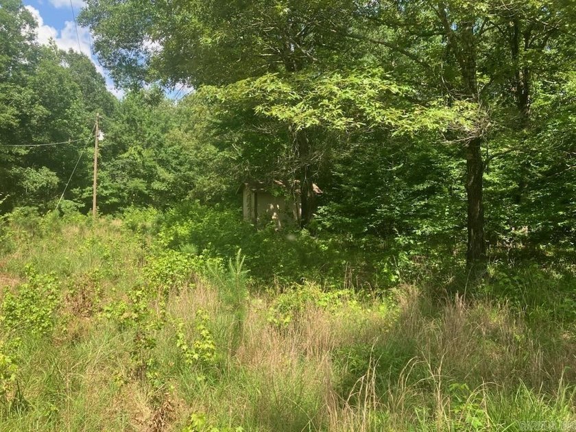 Approximately 64 wooded acres with county road frontage - photo 17