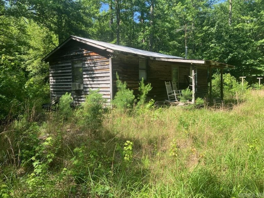 Approximately 64 wooded acres with county road frontage - photo 18