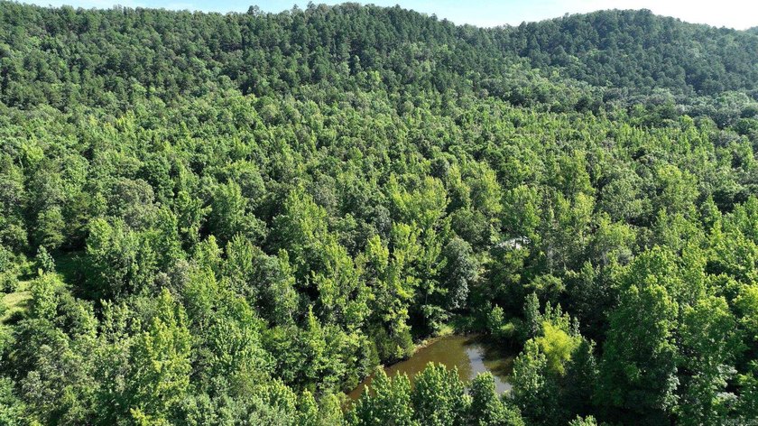 Approximately 64 wooded acres with county road frontage - photo 20