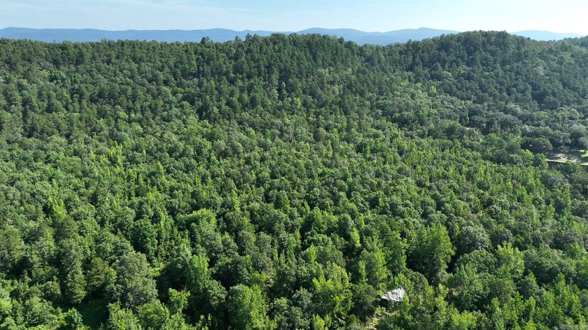 Approximately 64 wooded acres with county road frontage - photo 21