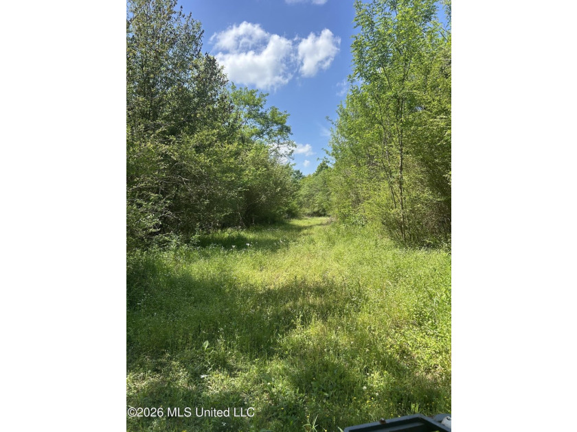 48 acres with a 3 BR 2 BA mobile home, shop, and additional home - photo 8