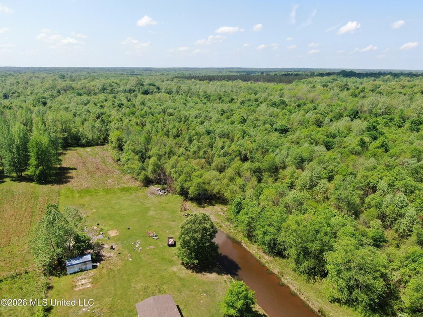 48 acres with a 3 BR 2 BA mobile home, shop, and additional home - photo 9