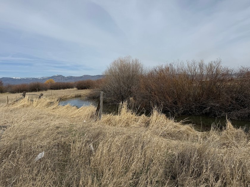 PRICE IMPROVEMENT! Incredible opportunity for country living at - photo 3