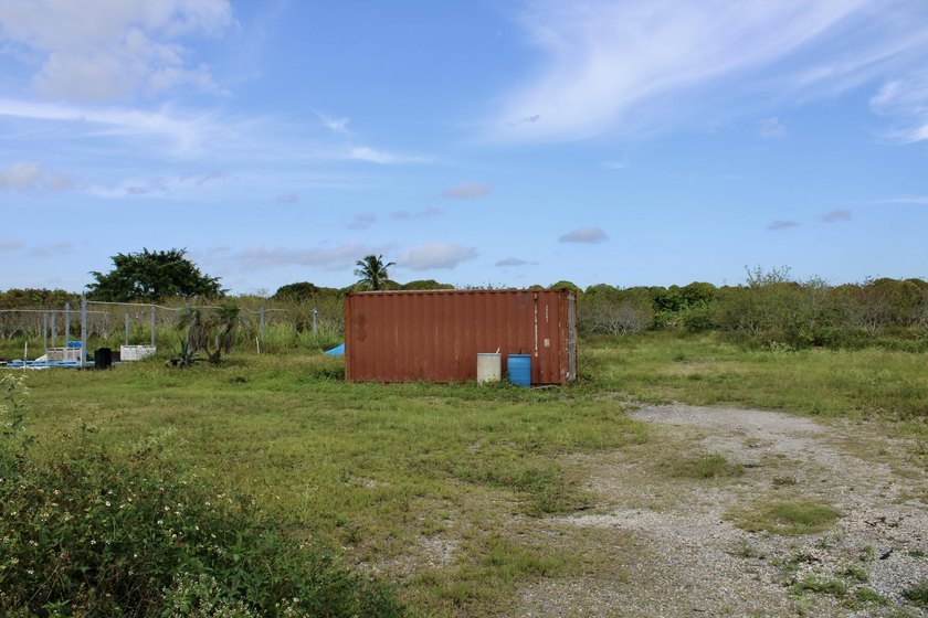 Fully fenced 10-acre grove currently being used for agricultural - photo 14