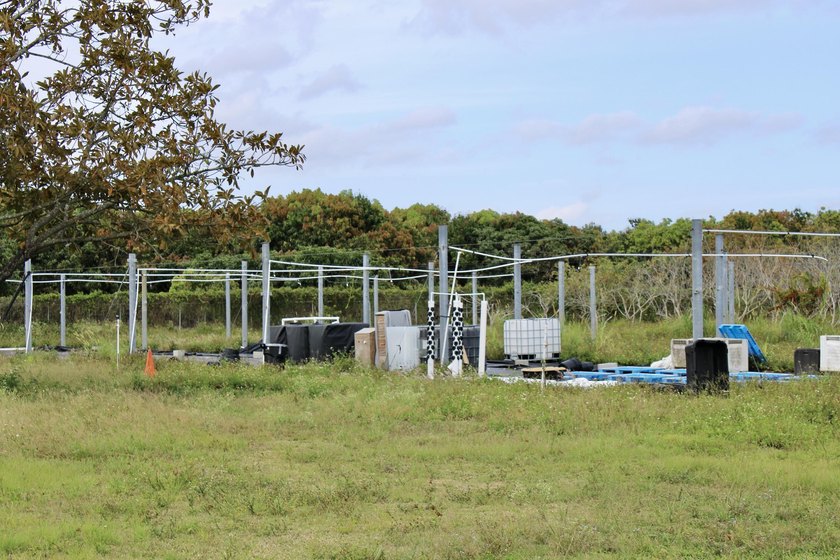Fully fenced 10-acre grove currently being used for agricultural - photo 16