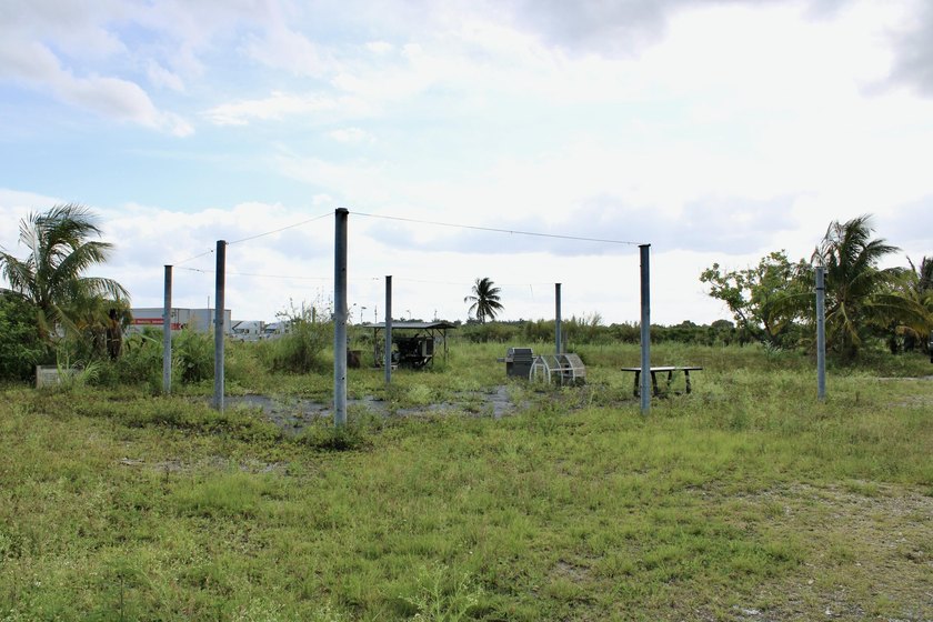 Fully fenced 10-acre grove currently being used for agricultural - photo 25