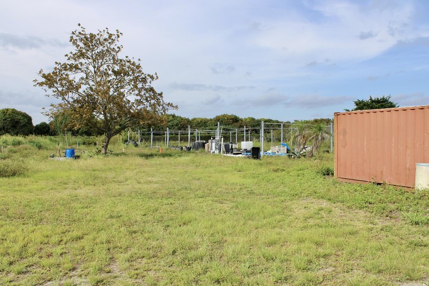 Fully fenced 10-acre grove currently being used for agricultural - photo 26