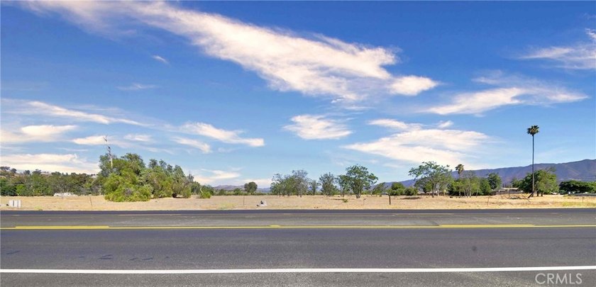 Prime Lakefront Commercial Development Opportunity in Lake - photo 6