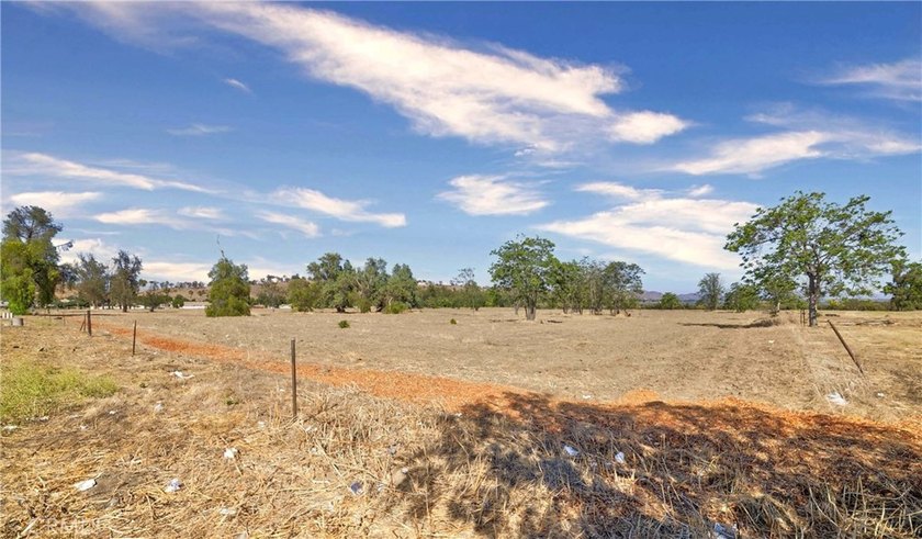 Prime Lakefront Commercial Development Opportunity in Lake - photo 9