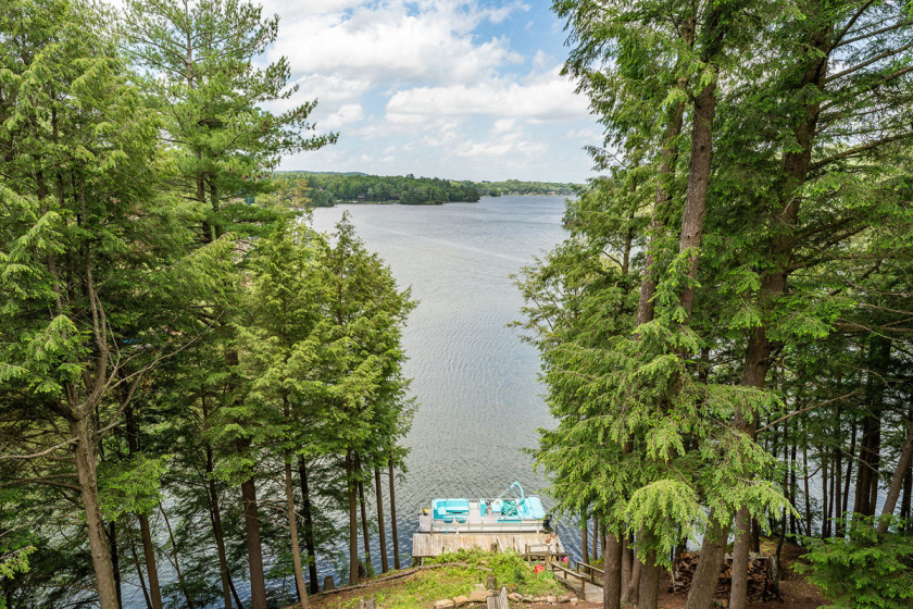 Long Range Views - photo 23