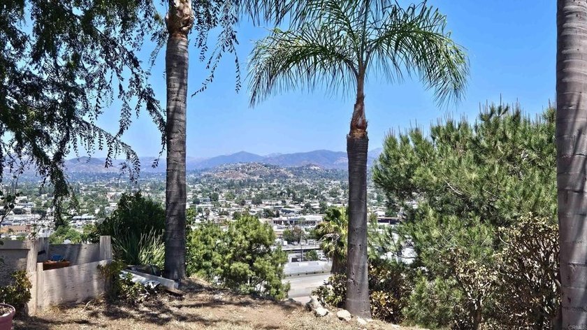 Views, views and more views from this beautiful single story - photo 40