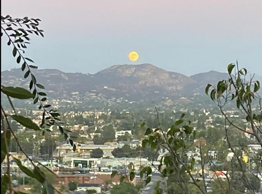 Views, views and more views from this beautiful single story - photo 47