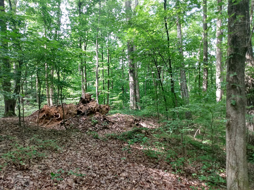 Big open Water! covered slip dock approved! SOLD - photo 6