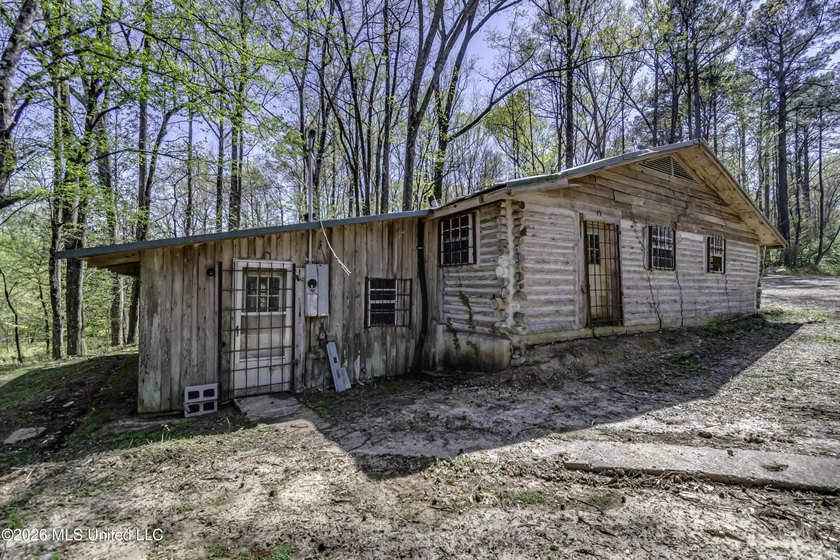 Located just outside of Port Gibson, this 44.16+/- surveyed acre - photo 6