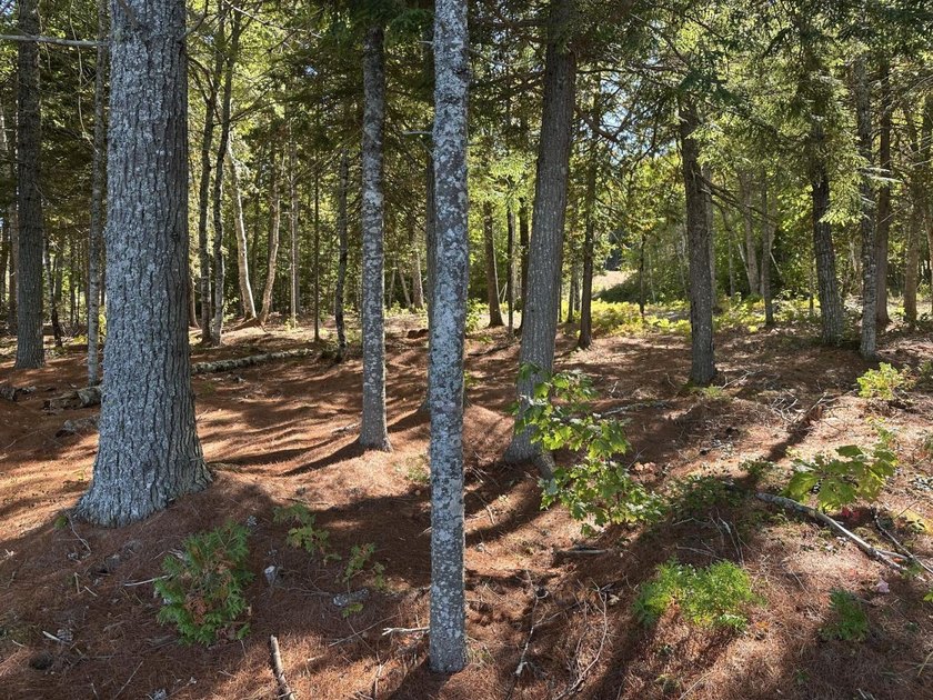 This 1.8 acre parcel with 235 feet offers the perfect setting - photo 4
