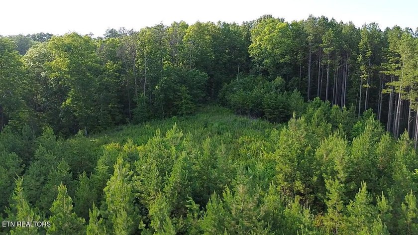 Discover the peaceful beauty of Highland Shores, a scenic rural - photo 3